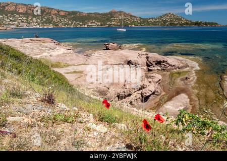 Pourrousset Beach, in Saint-Raphaël, Massif de l'Estérel, Frankreich, Europa, Provence. Stockfoto