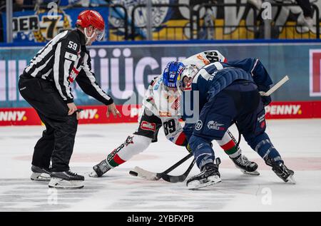 München, Deutschland. Oktober 2024. Linesperson Jonas Reinold fuehrt ein Bully aus zwischen Mark Zengerle (Augsburger Panther, #89) und Adam Brooks (EHC Red Bull Muenchen, #77). GER, EHC Red Bull München gegen Augsburger Panther, Eishockey, DEL, 10. Spieltag, Saison 2024/2025, 18.10.2024. Foto: Eibner-Pressefoto/Heike feiner Credit: dpa/Alamy Live News Stockfoto