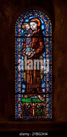 Der Heilige Antonius von Padua. Ein Buntglasfenster in der Kathedrale Santa Maria Major (Sé de Lisboa) in Lissabon, Portugal. Stockfoto