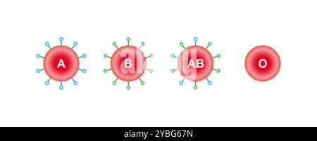 ABO-Blutgruppen, Abbildung. Stockfoto
