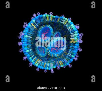 Lipidnanopartikelstruktur, Illustration. Lipid-Nanopartikel (LNPs) sind vielversprechende Mittel, um eine Vielzahl von Therapeutika zu liefern. Sie werden in COVID-19-mRNA-Impfstoffen und bei Krebsimmuntherapie eingesetzt. Stockfoto