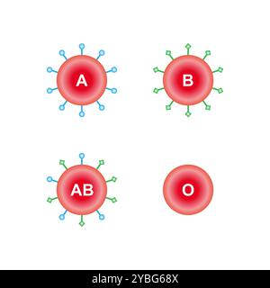 ABO-Blutgruppen, Abbildung. Stockfoto