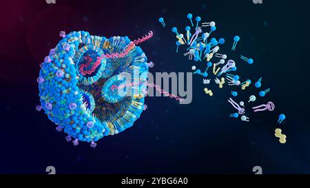 Lipidnanopartikelstruktur, Illustration. Lipid-Nanopartikel (LNPs) sind vielversprechende Mittel, um eine Vielzahl von Therapeutika zu liefern. Sie werden in COVID-19-mRNA-Impfstoffen und bei Krebsimmuntherapie eingesetzt. Stockfoto