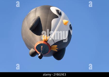 Das 52. Jährliche Albuquerque Balloon Fiesta Stockfoto