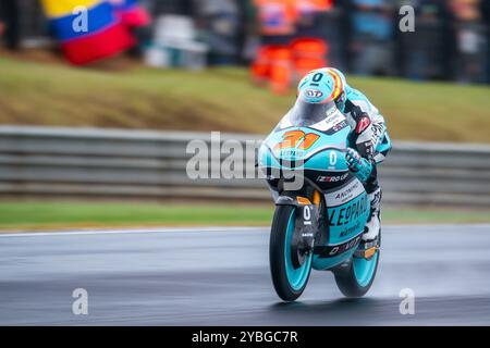 Phillip Island, Victoria, Australien. Oktober 2024. Moto3 Leopard Racing Fahrer ADRIAN FERNANDEZ (31) auf Gardner Straight für das Eröffnungstraining am Samstag beim Qatar Airways Australian Motorcycle Grand Prix 2024. (Kreditbild: © James Forrester/ZUMA Press Wire) NUR REDAKTIONELLE VERWENDUNG! Nicht für kommerzielle ZWECKE! Stockfoto