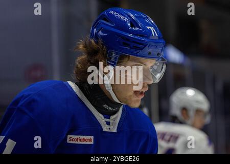 Rochester, New York, USA. Oktober 2024. Toronto Marlies Stürmer Nikita Grebenkin (71) Skates in der ersten Periode gegen die Rochester Americans. Die Rochester Americans veranstalteten die Toronto Marlies in einem Spiel der American Hockey League in der Blue Cross Arena in Rochester, New York. (Jonathan Tenca/CSM). Quelle: csm/Alamy Live News Stockfoto