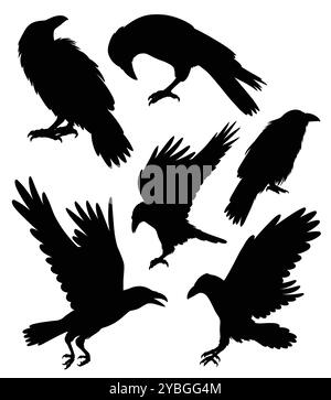 Strähenkögel, Tier, fliegender Silhouette Stock Vektor