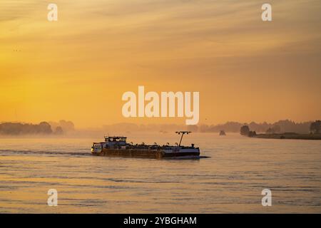 Frachtschiffe auf dem Rhein bei Emmerich, früh morgens, Sonnenaufgang, Nebel, Nebel auf dem Fluss, Nordrhein-Westfalen, Deutschland, Europa Stockfoto