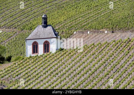 Kesselstatt-Kapelle in den Weinbergen bei Kroev, Grabkapelle, Mosel, Rheinland-Pfalz, Deutschland, Europa Stockfoto