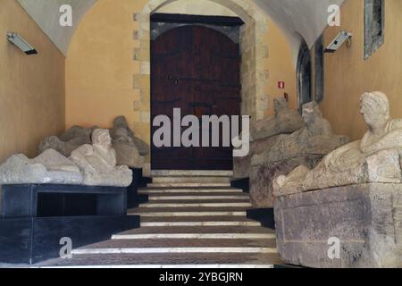 Ausstellung, Museo archeologico nazionale di Tarquinia, Provinz Viterbo, Region Latium, Italien, Europa Stockfoto