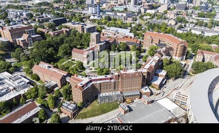 Die University of Tennessee in Knoxville bietet einen weitläufigen Campus mit üppigem Grün, historischen Gebäuden und modernen Forschungseinrichtungen Stockfoto