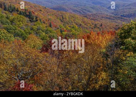 Aus der Vogelperspektive sehen Sie wunderschöne Felsformationen entlang der Berge von North Carolina, während sich die Blätter im ersten Teil des Herbstes ändern Stockfoto