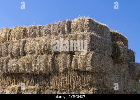 Hohe Stapel von Strohballen gegen einen blauen Sommerhimmel Stockfoto