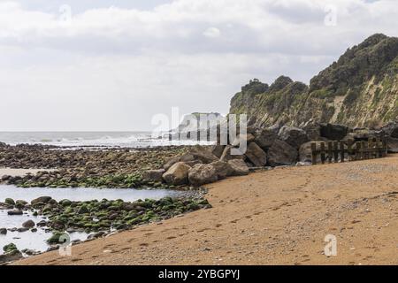 Die Kanalküste am Steephill Cove Beach in der Nähe von Castle Cove, Isle of Wight, England, Großbritannien Stockfoto