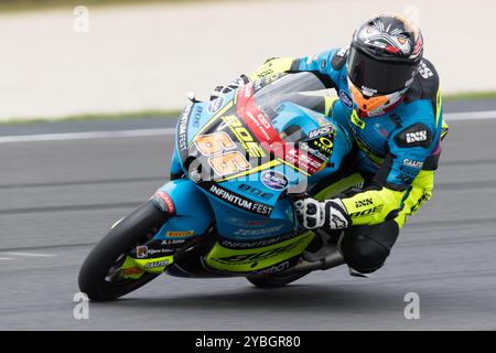 Melbourne, Australien, 19. Oktober 2024. Joel Kelso auf der BOE Ducati während der australischen MotoGP auf dem Phillip Island Grand Prix Circuit am 19. Oktober 2024 in Melbourne, Australien. Quelle: Dave Hewison/Speed Media/Alamy Live News Stockfoto