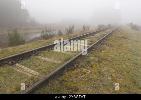 Alte Bahnstrecke Borkense verläuft nahe der deutschen Grenze in der Gemeinde Winterswijk. Zuvor führte hier eine Eisenbahnstrecke von Winterswijk nach Bor Stockfoto