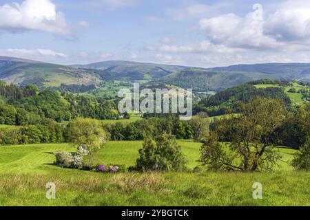 Landschaft in der Nähe von Berwyn in Denbighshire, Clwyd, Wales, Großbritannien Stockfoto