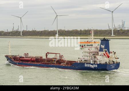 Europort, Hafen Rotterdam, Südholland, Niederlande, 15. November, 2022: ein kleines Frachtschiff, das den Hafen erreicht Stockfoto