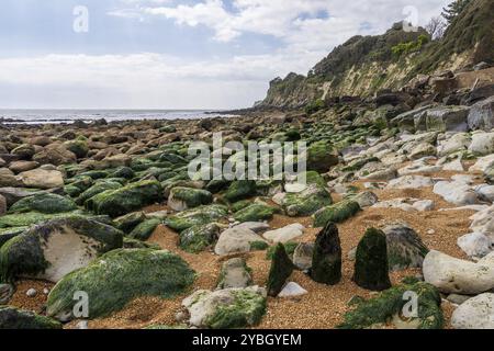 Die Kanalküste am Steephill Cove Beach in der Nähe von Castle Cove, Isle of Wight, England, Großbritannien Stockfoto