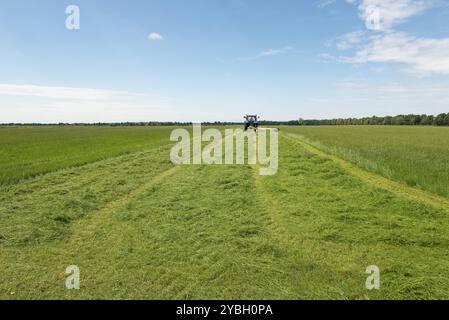 Landwirtschaft, Weide Mähen mit blauen Traktor Stockfoto