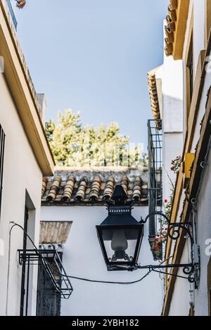 Straßenlaterne in alten typischen Gasse im jüdischen Viertel von Córdoba mit alten Gebäuden mit weißen Wänden, bunten Blumentöpfen dekoriert Stockfoto