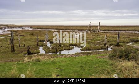 Marschland in der Nähe von Thornham Old Harbour, Norfolk, England, Großbritannien Stockfoto