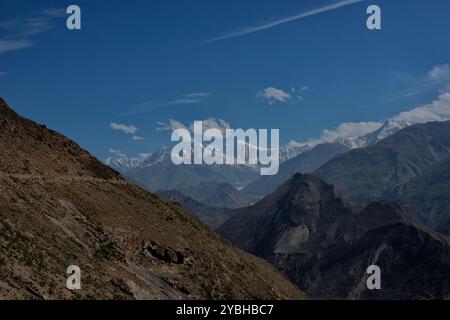 Blick auf Spantik (Golden Peak) vom Ultar Trail, Karimabad, Hunza, Gilgit-Baltistan, Pakistan Stockfoto