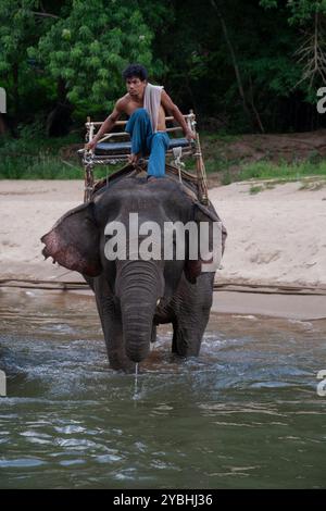 Kanchanaburi, Thailand - 6. April 2011: Mann mit asiatischem Elefant im Fluss Kwai. Stockfoto