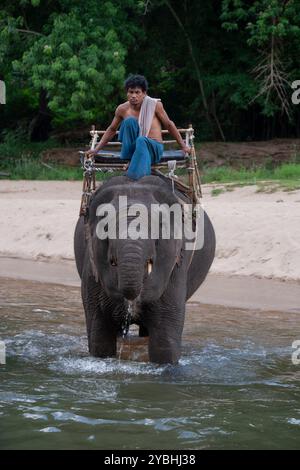 Kanchanaburi, Thailand - 6. April 2011: Mann mit asiatischem Elefant im Fluss Kwai. Stockfoto