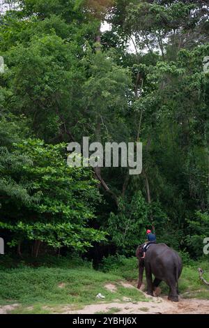 Kanchanaburi, Thailand - 6. April 2011: Mann mit asiatischem Elefant im Fluss Kwai. Stockfoto