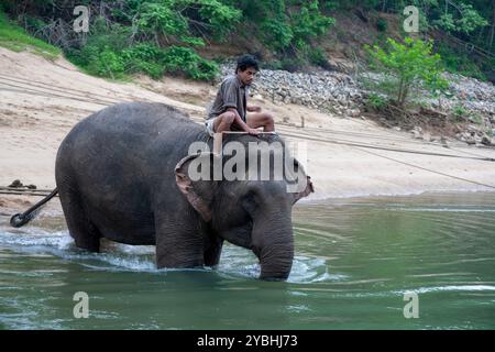 Kanchanaburi, Thailand - 6. April 2011: Mann mit asiatischem Elefant im Fluss Kwai. Stockfoto