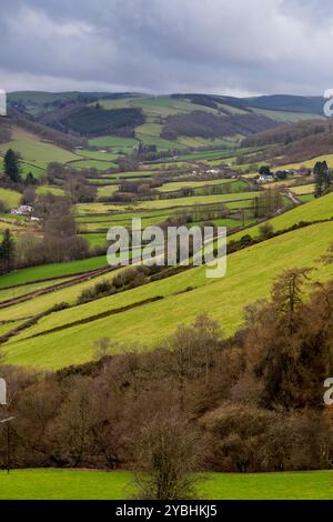 Blick über das Hafren Valley (Fluss Severn) in der Nähe von Llanidloes, Powys, Wales. Februar. Stockfoto