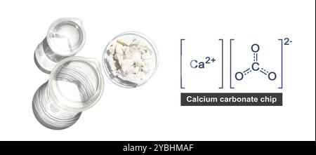 Calciumcarbonatchip in chemischem Uhrglas mit Molekularstruktur neben dem Becher auf weißem Labortisch. Draufsicht Stockfoto