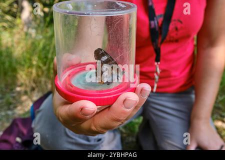 France, Indre (36), Berry, Brenne, Naturpark, Valérie Le Mercier, Moderatorin im Regionalen Naturpark von Brenne Stockfoto