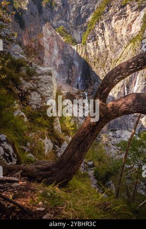 Der unglaubliche Wasserfall Boka in der wilden Natur und Schönheit des berühmten Triglav-Nationalparks in Slowenien. Stockfoto