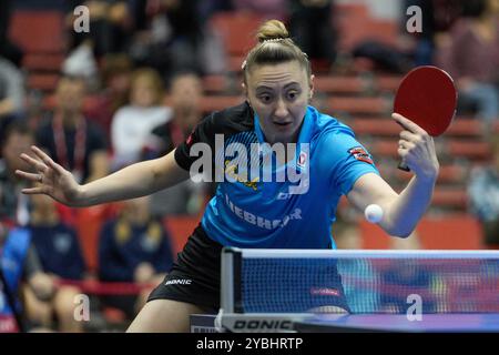 Linz, Österreich. Oktober 2024. LINZ, ÖSTERREICH - 19. OKTOBER: Sofia Polcanova von Österreich während der Tischtennis-Europameisterschaft am 19. Oktober 2024 in Linz, Österreich.241019 SEPA 19 004 - 20241019 PD2086 Credit: APA-PictureDesk/Alamy Live News Stockfoto