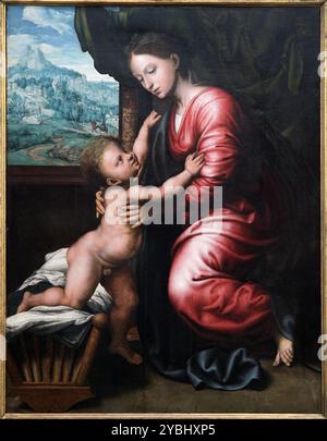 Madonna (nach 1518) von Jan van Hemessen (c.1500-1566).alias Jan Sanders van Hemessen. Flämischer Renaissance-Meister. Stockfoto