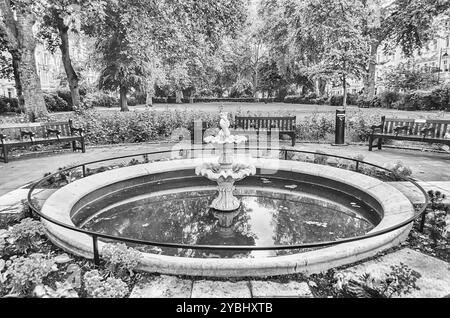 Springbrunnen auf dem St. George's Square, Pimlico, London, Großbritannien Stockfoto