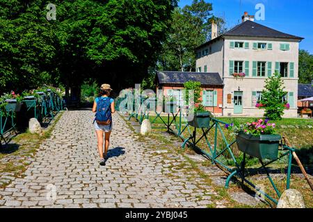 Frankreich, Loiret (45), Chatillon-sur-Loire, Flusstourismus am Seitenkanal der Loire Stockfoto