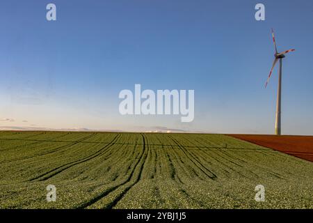 Windturbinen stehen hoch auf einem Feld und ihre Rotorblätter drehen sich sanft gegen die orange- und rosa Farbtöne des Sonnenuntergangs. Die ruhige Landschaft verbindet erneuerbare Energien Stockfoto