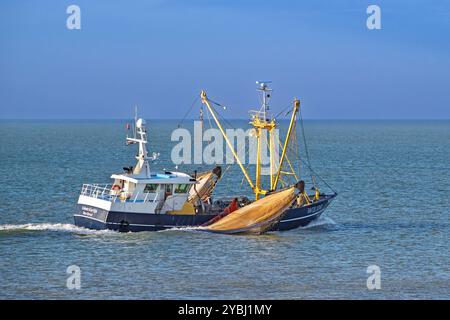 Fischerei der niederländische Garnelentrawler Celeste Karlijn WR106, Baumkurrenfischerei entlang der Nordseeküste in Zeeland, Niederlande Stockfoto