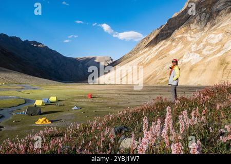 Camping und Himalaya-Wildblumen im wunderschönen Warwan Valley, PIR Panjal Range, Kashmir, Indien Stockfoto