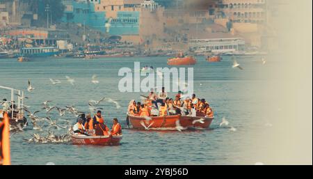 Varanasi, Indien. Touristen Und Indische Pilger, Die Auf Dem Ganga Riverbank Schwimmen. Touristen Boote Schwimmen Und Möwen Füttern Auf Dem Ganges River. Viele Möwen Stockfoto