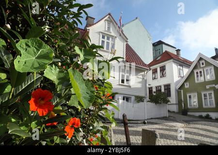 Traditionelle alte Holzhäuser, Strangebakken, Bergen, Norwegen. Stockfoto