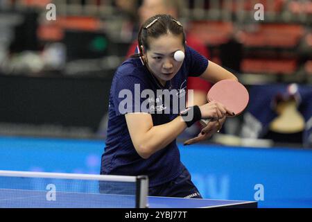 Linz, Österreich. Oktober 2024. LINZ, ÖSTERREICH - 19. OKTOBER: 1jy während der Tischtennis-Europameisterschaft am 19. Oktober 2024 in Linz, Österreich.241019 SEPA 19 065 - 20241019 PD3107 Credit: APA-PictureDesk/Alamy Live News Stockfoto