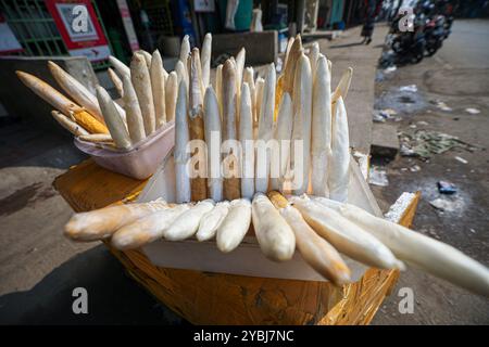 Fischblasen werden für den Verkauf vorbereitet. Stockfoto