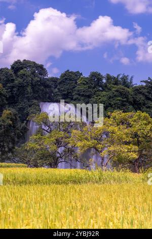 Wunderschöne Landschaft des Ban Gioc Wasserfalls in der Provinz Cao Bang, Vietnam Stockfoto