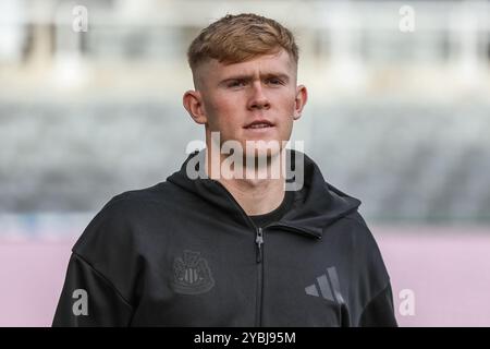 Newcastle, Großbritannien. Oktober 2024. Lewis Hall of Newcastle United kommt während des Premier League-Spiels Newcastle United gegen Brighton und Hove Albion am 19. Oktober 2024 in St. James's Park, Newcastle, Vereinigtes Königreich (Foto: Mark Cosgrove/News Images) am 19. Oktober 2024 in Newcastle, Vereinigtes Königreich. (Foto: Mark Cosgrove/News Images/SIPA USA) Credit: SIPA USA/Alamy Live News Stockfoto