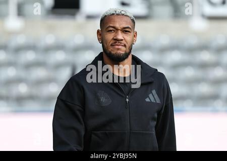 Newcastle, Großbritannien. Oktober 2024. Joelinton von Newcastle United kommt während des Premier League-Spiels Newcastle United gegen Brighton und Hove Albion am 19. Oktober 2024 in St. James's Park, Newcastle, Großbritannien (Foto: Mark Cosgrove/News Images) in Newcastle, Großbritannien am 19. Oktober 2024. (Foto: Mark Cosgrove/News Images/SIPA USA) Credit: SIPA USA/Alamy Live News Stockfoto