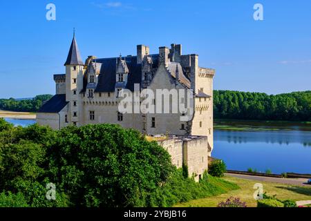 Frankreich, Maine et Loire, Loire-Tal, Dorf Montsoreau, Château de Montsoreau am Ufer der Loire, im 15. Jahrhundert wieder aufgebaut Stockfoto